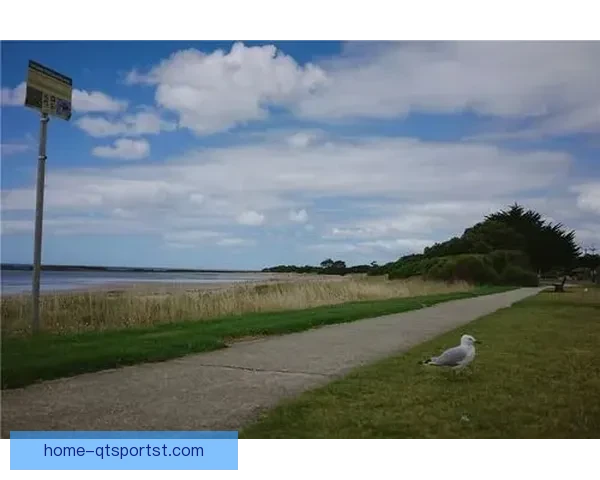 汉莎罗斯托克青年队主场力克塔斯马尼亚柏林取得两球胜利